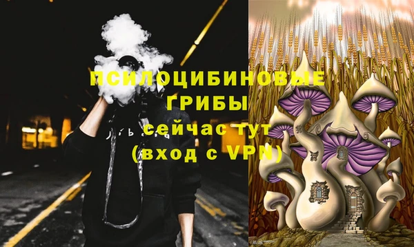 мяу мяу кристалл Алексин