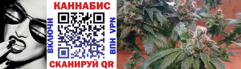 Бошки Шишки гибрид  блэк спрут онион  Омутнинск 